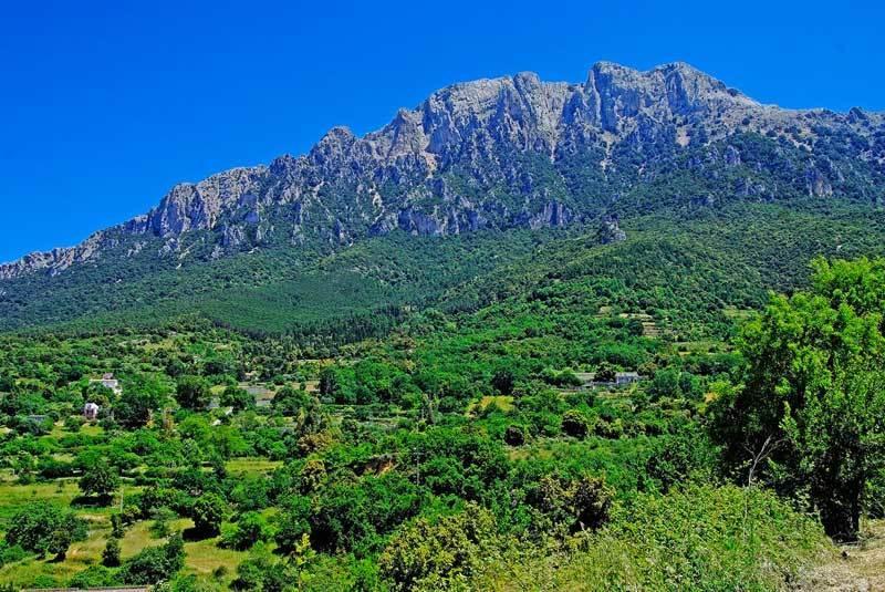 S'Enis Monte Maccione Otel Oliena Dış mekan fotoğraf