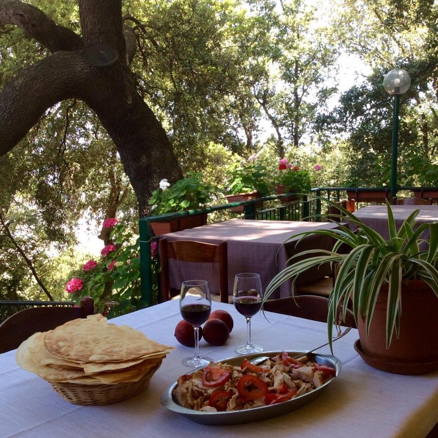 S'Enis Monte Maccione Otel Oliena Dış mekan fotoğraf